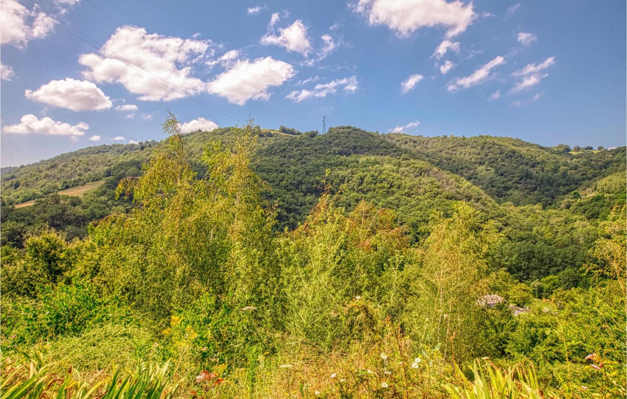 2 Bedroom Lovely Apartment In Conques-En-Rouergue Εξωτερικό φωτογραφία